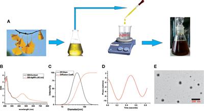 Green Biosynthesized Silver Nanoparticles With Aqueous Extracts of Ginkgo Biloba Induce Apoptosis via Mitochondrial Pathway in Cervical Cancer Cells